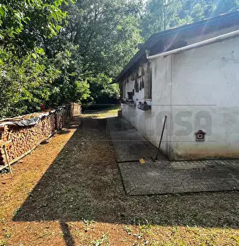 Foto annuncio 31