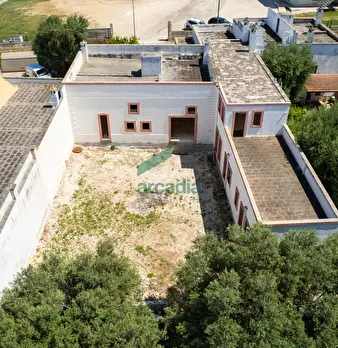 Foto annuncio 12
