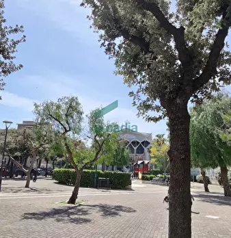 Foto annuncio 17