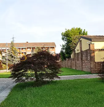 Foto annuncio 23