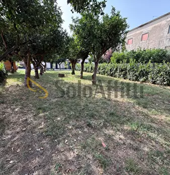 Foto annuncio 29