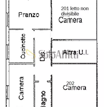 Foto annuncio 13