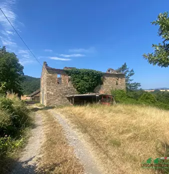 Foto annuncio 29