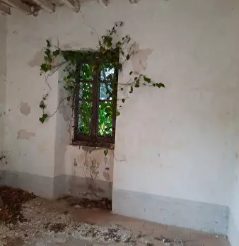 Foto annuncio 24