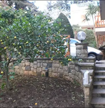 Foto annuncio 5