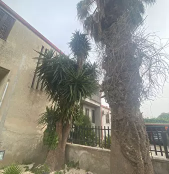 Foto annuncio 7