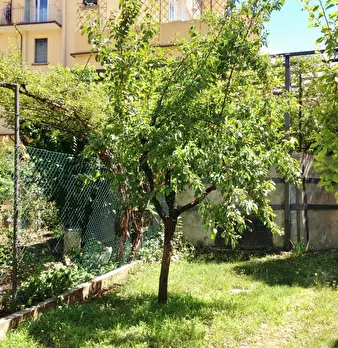Foto annuncio 4