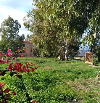 Foto annuncio 11