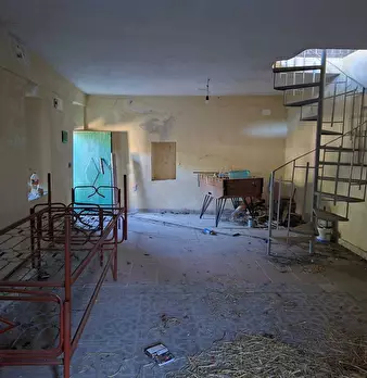 Foto annuncio 52