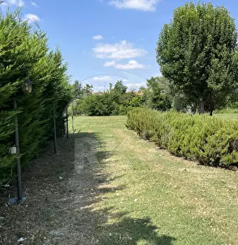 Foto annuncio 13