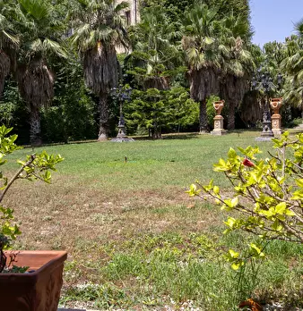Foto annuncio 6