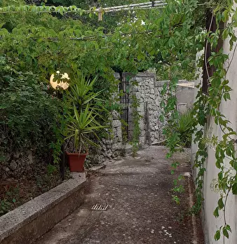Foto annuncio 75