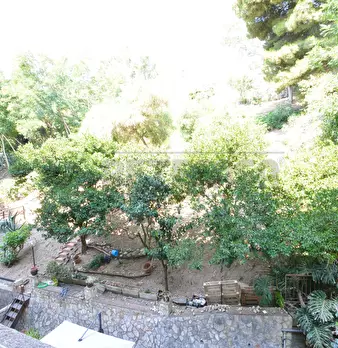 Foto annuncio 12