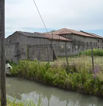 Foto annuncio 5