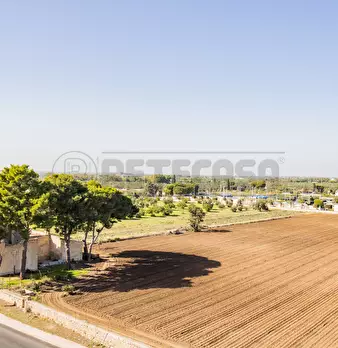 Foto annuncio 22