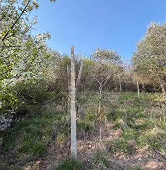 Foto annuncio 51