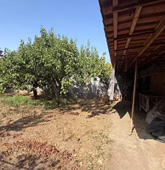 Foto annuncio 7
