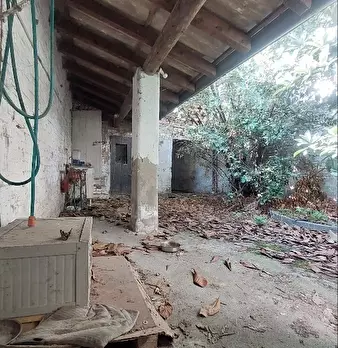 Foto annuncio 10