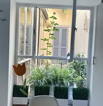 Foto annuncio 3