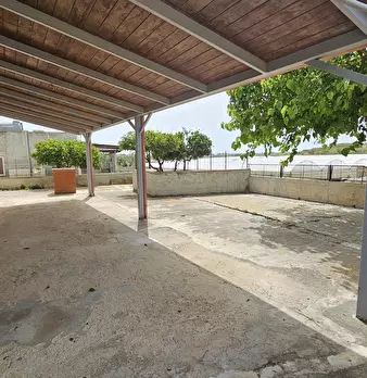 Foto annuncio 11