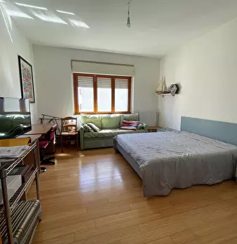 Foto annuncio 7