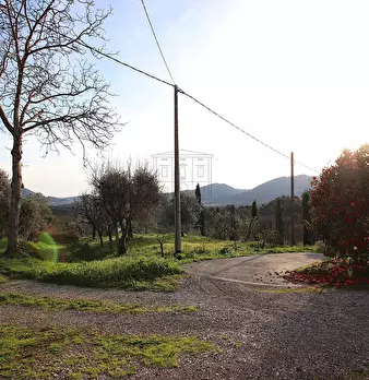 Foto annuncio 13