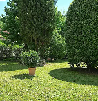 Foto annuncio 7