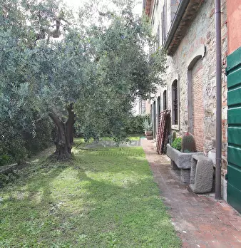 Foto annuncio 44