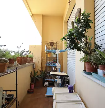Foto annuncio 25