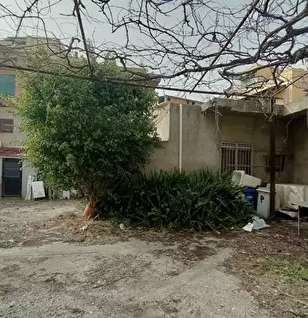 Foto annuncio 4