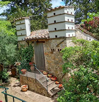Foto annuncio 23