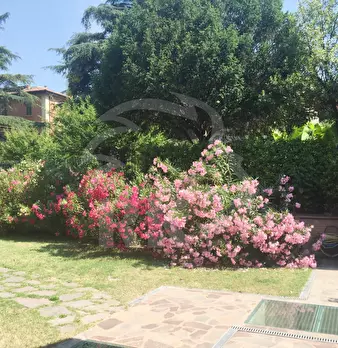 Foto annuncio 24