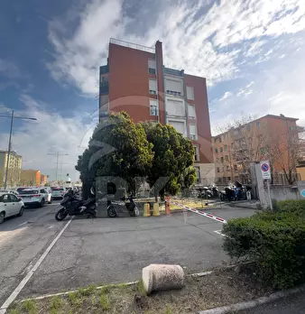Foto annuncio 15