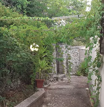 Foto annuncio 76