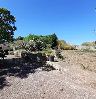 Foto annuncio 31