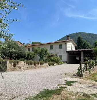 Foto annuncio 26