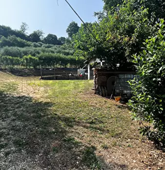 Foto annuncio 38
