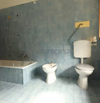 Foto annuncio 24