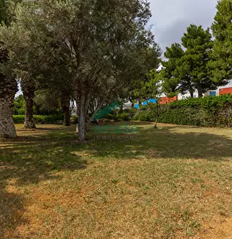 Foto annuncio 17