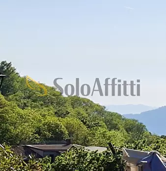 Foto annuncio 12