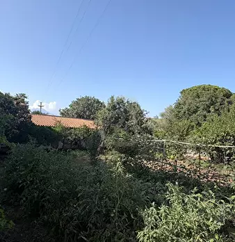 Foto annuncio 4