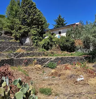 Foto annuncio 4