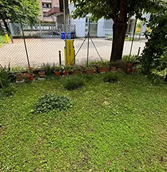 Foto annuncio 38