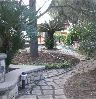 Foto annuncio 4