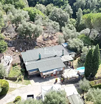 Foto annuncio 36