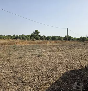 Foto annuncio 4