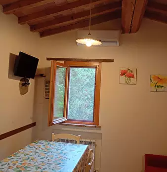 Foto annuncio 20