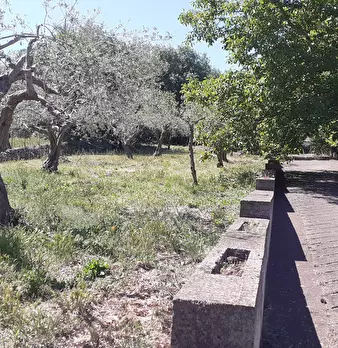 Foto annuncio 22
