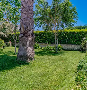 Foto annuncio 9