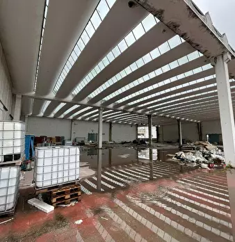 Foto annuncio 7